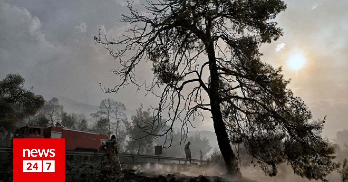 Ζάκυνθος: Οριοθετήθηκε η φωτιά στο Κορίθι