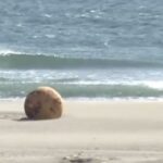 Ιαπωνία: Λύθηκε το μυστήριο με τη σιδερένια μπάλα που ξεβράστηκε σε παραλία