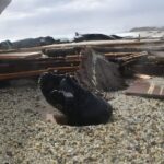 Στους 60 οι νεκροί από το τραγικό ναυάγιο στις ακτές της Καλαβρίας