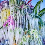 «Frozen Flowers 2023»: Νέα εγκατάσταση από τον Ιάπωνα καλλιτέχνη ανθοσυνθέσεων Azuma Makoto