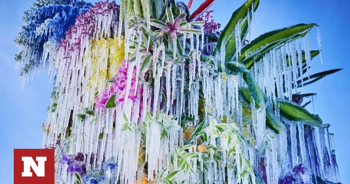 «Frozen Flowers 2023»: Νέα εγκατάσταση από τον Ιάπωνα καλλιτέχνη ανθοσυνθέσεων Azuma Makoto