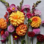 Hello March: 10 ανοιξιάτικα λουλούδια για να βάλεις χρώμα σε μπαλκόνι και κήπο