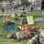 «SOSε τα Δένδρα»: Διαμαρτυρία κατά των κοπών στη Θεσσαλονίκη- Δείτε βίντεο