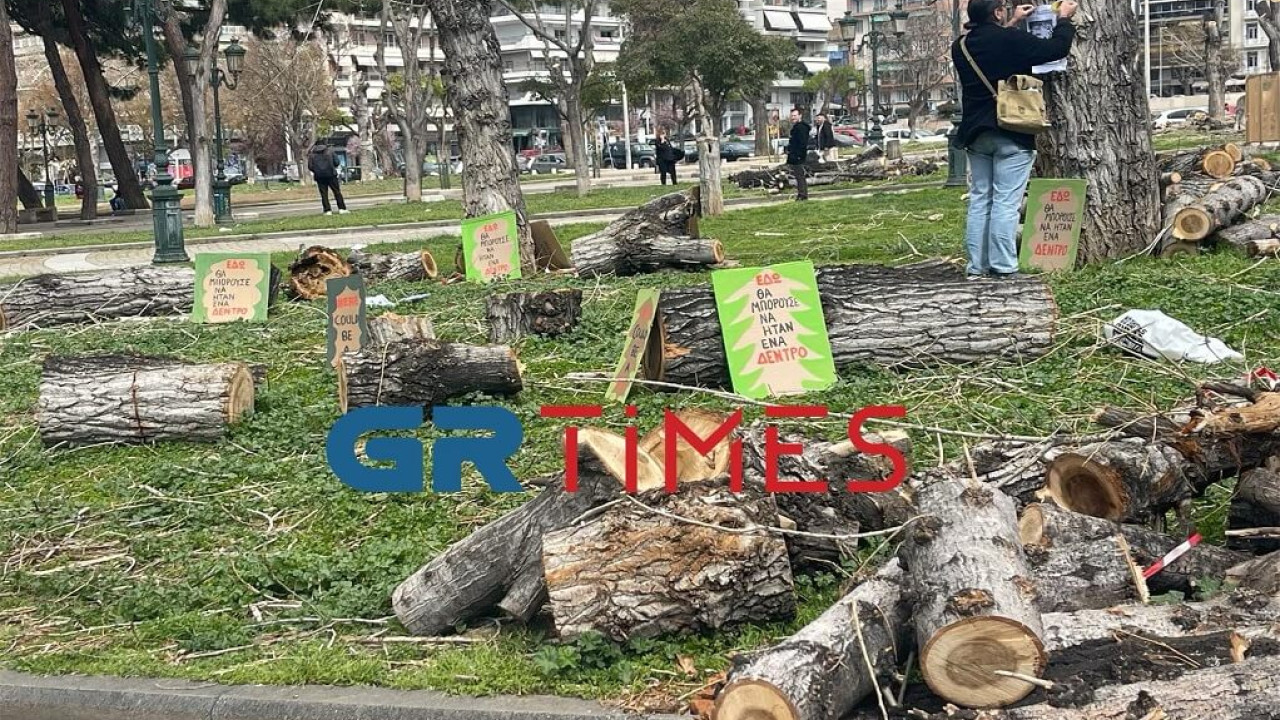 «SOSε τα Δένδρα»: Διαμαρτυρία κατά των κοπών στη Θεσσαλονίκη- Δείτε βίντεο