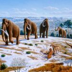 Unknown lineage of ice age Europeans discovered in genetic study