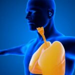 Ένθετο Υγεία: Τεχνητή νοημοσύνη και πρόγνωση καρδιαγγειακών παθήσεων