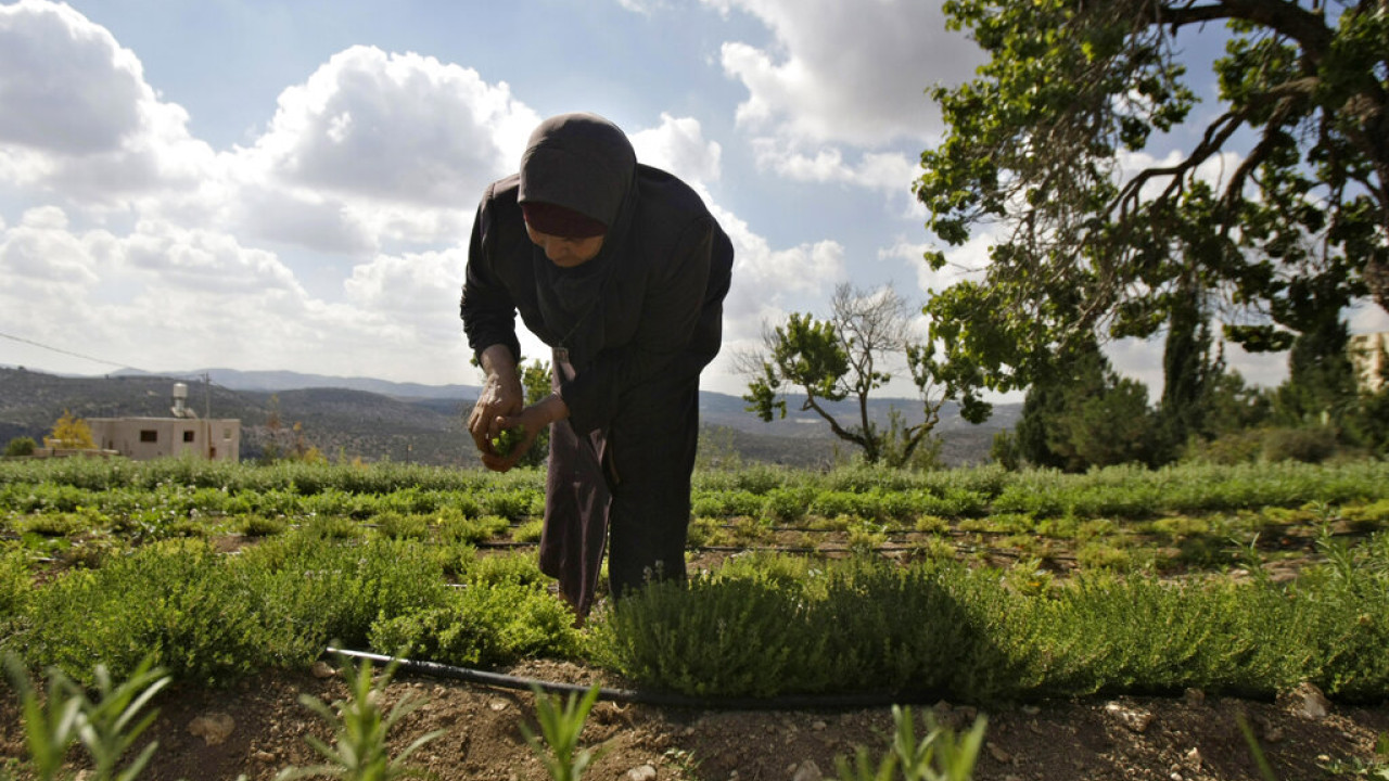 Βουλγαρία - ΒΤΑ: Η Σόφια επιμένει στην αύξηση του ποσού στήριξης από το γεωργικό αποθεματικό της ΕΕ