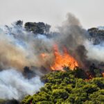 Λασίθι: Μεγάλη φωτιά στην Καλαμαύκα
