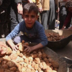 Λιχουδιές βουτηγμένες στο αίμα – Σύριοι ρισκάρουν τη ζωή τους για τρούφες (video)