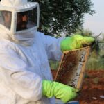 Μελισσοκόμοι: Ενισχύσεις 12 εκατ. ευρώ για την αντιμετώπιση των επιπτώσεων από την ουκρανική κρίση