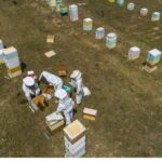 Νέο πρόγραμμα κατάρτισης ανέργων στη μελισσοκομία