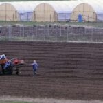 Συμβολαιακή γεωργία: Παράταση προθεσμίας υποβολής στοιχείων για τη μείωση φόρου αγροτών
