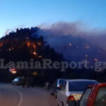Φθιώτιδα: Σε ένα μέτωπο η μεγάλη πυρκαγιά στη Μενδενίτσα - Δείτε βίντεο
