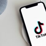 TikTok Bans: Security Concerns or Sinophobia? (infographic)