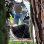 Έγκλημα στη Θεσσαλονίκη: Άφαντος ο μητροκτόνος, φόβοι για αυτοκτονία – «Γιατί σκότωσα τη μητέρα μου»
