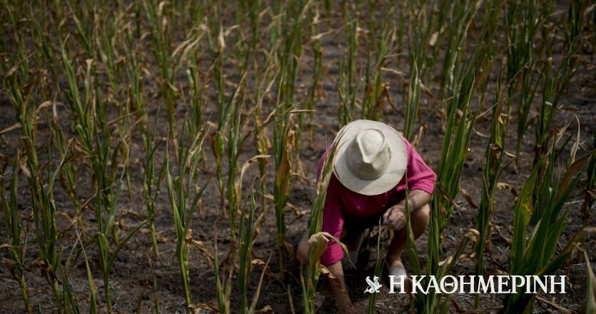 Αργεντινή: Η ακραία ξηρασία δίνει τη χαριστική βολή στην οικονομία της