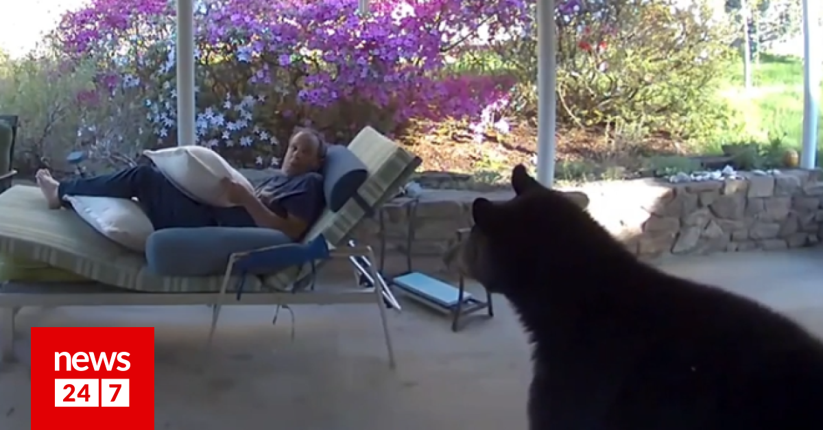 Βίντεο: Άνδρας έρχεται πρόσωπο με πρόσωπο με αρκούδα στη βεράντα του σπιτιού του