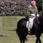 Βρετανία: Οι χρυσές «μπίζνες» του Μπάκιγχαμ με τα άλογα  – 27 εκατ. λίρες η αξία των καθαρόαιμων που κληρονόμησε ο Κάρολος