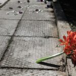 Δολοφονία Καραϊβάζ: «Δεν είναι εύκολο να βρούμε τον ηθικό αυτουργό»