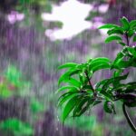 Ο καιρός με τον Π. Γιαννόπουλο: Τη Μ. Δευτέρα οι περισσότερες βροχές