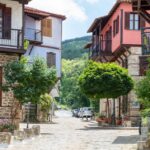 Το χωριό της Χαλκιδικής με την μεγάλη ποικιλία θεραπευτικών βοτάνων
