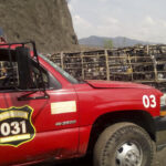 Δεκατρείς νεκροί σε τροχαίο δυστύχημα στο Μεξικό