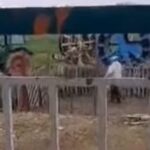 Εξοργιστικό βίντεο: Άνδρας πετάει νερό και χτυπάει με ξύλο τον σκύλο του
