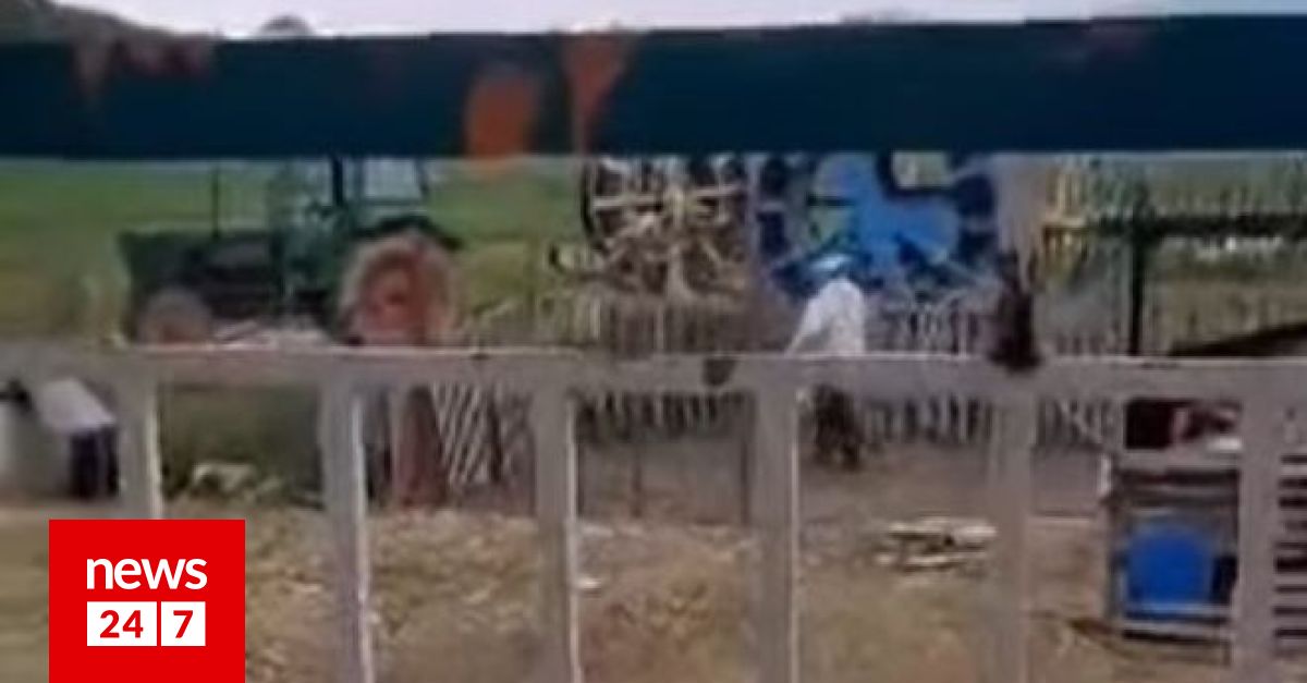 Εξοργιστικό βίντεο: Άνδρας πετάει νερό και χτυπάει με ξύλο τον σκύλο του