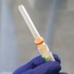 ΗΠΑ: Εγκρίνουν εμβόλιο για την γρίπη των πτηνών για να σωθούν οι Κόνδορες της Καλιφόρνιας
