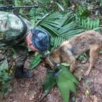 Κολομβία: Εξακολουθούν να αγνοούνται στη ζούγκλα τα τέσσερα παιδιά που διασώθηκαν μετά την πτώση του αεροσκάφους τους