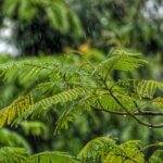 Ο καιρός με τον Π. Γιαννόπουλο: Τοπικές βροχές και λίγες καταιγίδες σήμερα – Πώς θα είναι την Κυριακή των εκλογών
