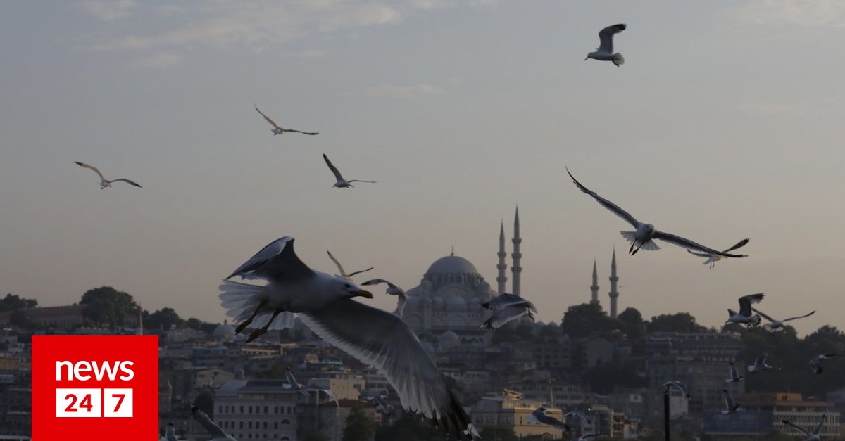 Τουρκία, ώρα μηδέν: Πέντε ειδικοί αναλύουν τις κρίσιμες εκλογές