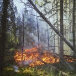 Φωτιά στον Έβρο: Συγκινεί η φωτογραφία με τον πυροσβέστη που ξαπλώνει πάνω στη μάνικα για να ξεκουραστεί