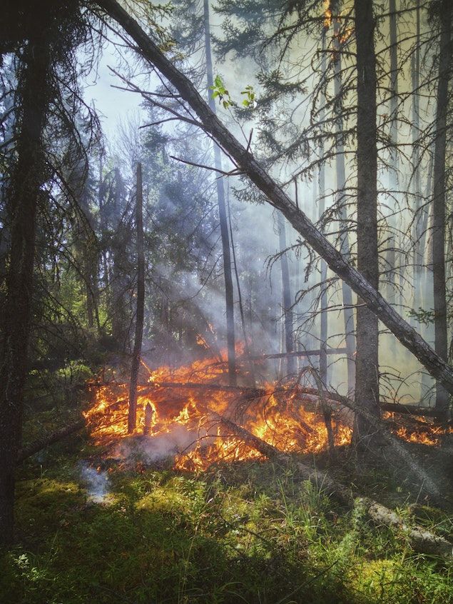 Φωτιά στον Έβρο: Συγκινεί η φωτογραφία με τον πυροσβέστη που ξαπλώνει πάνω στη μάνικα για να ξεκουραστεί