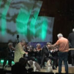 DW: Τα σκυλιά... τραγουδούν Μότσαρτ - Η μοναδική Δανέζικη Ορχήστρα Δωματίου