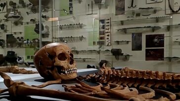 Ένθετο Κόσμος: Αρχαιολόγοι στην Πολωνία ανακάλυψαν οστά «παιδιού-βρικόλακα» του 17ου αιώνα