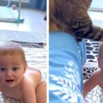 Γάτα ηρεμεί μωρό που γκρινιάζει με μία κίνηση