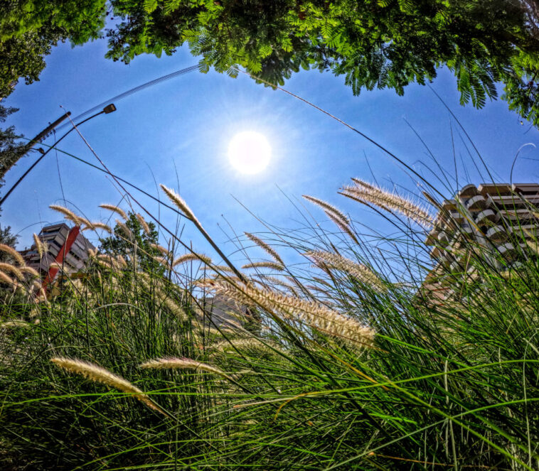 Ο καιρός με την Ν. Ζιακοπούλου: Ζέστη – υψηλές για την εποχή θερμοκρασίες τις επόμενες ημέρες