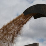 Ρωσία-ΟΗΕ: Διαβουλεύσεις για τις εξαγωγές σιτηρών και λιπασμάτων
