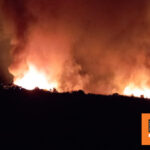 Φωτογραφίες: Φωτιά στον Μαραθώνα - Ενισχύθηκαν οι δυνάμεις της Πυροσβεστικής