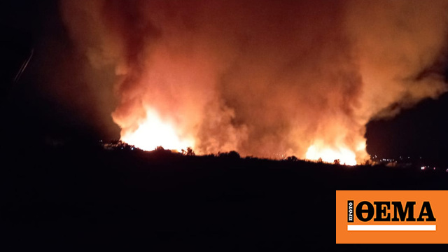 Φωτογραφίες: Φωτιά στον Μαραθώνα - Ενισχύθηκαν οι δυνάμεις της Πυροσβεστικής