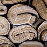 The largest handwritten family tree in the world (video)
