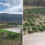 Θεσπρωτία: Υπερχείλισε ο ποταμός Καλαμάς - Σε απελπισία οι αγρότες