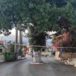 Κρήτη: Απαγόρευση κυκλοφορίας λόγω... χαρουπιάς