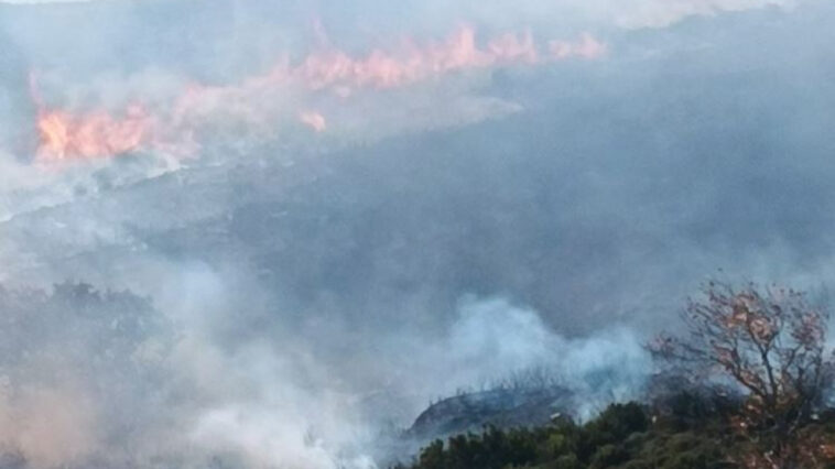 Μέτωπα φωτιάς σε Χανιά και Αστερούσια - Βίντεο και φωτογραφίες