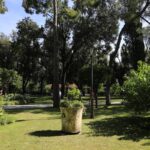 «Πλανόδια Βιβλιοθήκη» στον κήπο του Προεδρικού Μεγάρου – Εκπαιδευτικό πρόγραμμα παρουσία της Κ. Σακελλαροπούλου