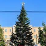 Σήμερα στις 18:00 η φωταγώγηση του χριστουγεννιάτικου δέντρου στο Σύνταγμα