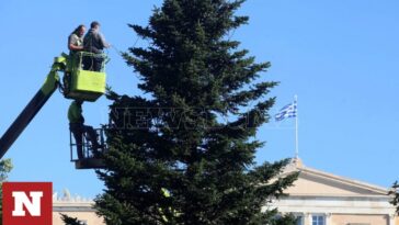 Σύνταγμα: «Άρωμα» Χριστουγέννων - Έστησαν το χριστουγεννιάτικο δέντρο ύψους 17 μέτρων
