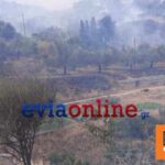 Φωτιά στην Κάρυστο: Εκκενώθηκαν δύο χωριά , απειλούνται σπίτια και στάβλοι - Δείτε βίντεο