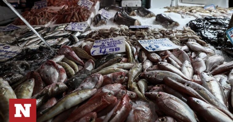 Ακρίβεια: Σε απελπισία οι καταναλωτές - Χρηματιστήριο τα... ψάρια  και «χρυσάφι» τα λαχανικά